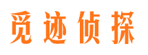 东城市私人调查